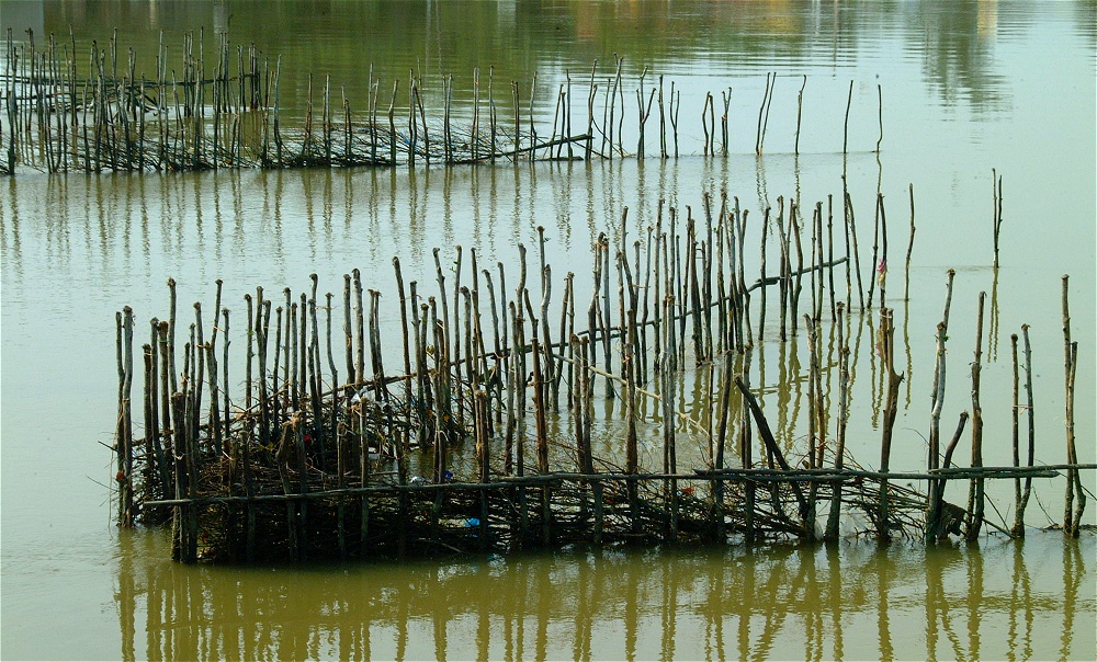 (33) Dscf1246 (day 4 - fish traps).jpg   (1000x604)   364 Kb                                    Click to display next picture